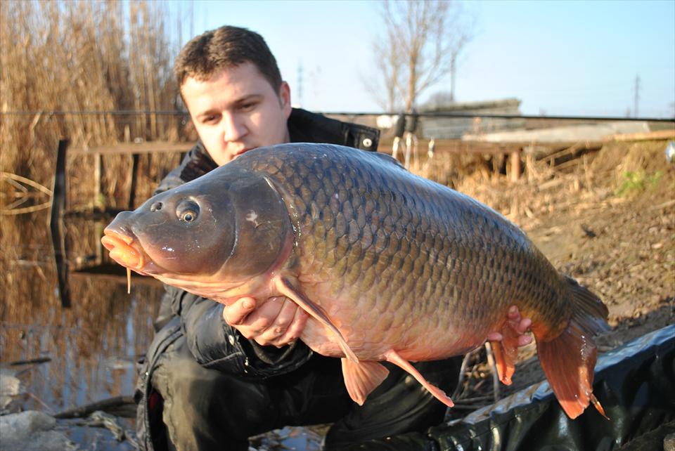Tehnica pentru apa rece